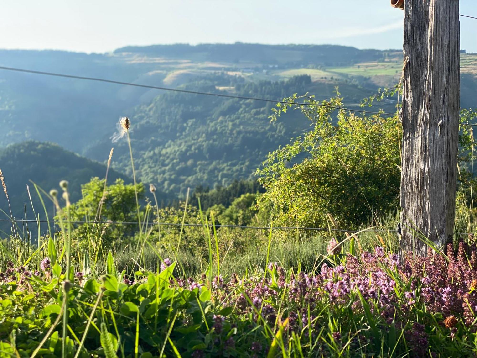 Tiny House De Tempoyrac Villa La Rochette  Екстериор снимка